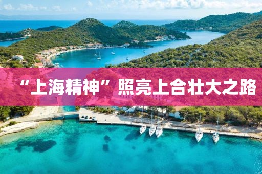 “上海精神”照亮上合壮大之路