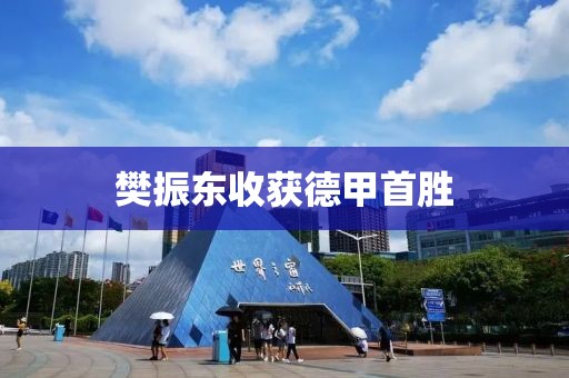 樊振东收获德甲首胜