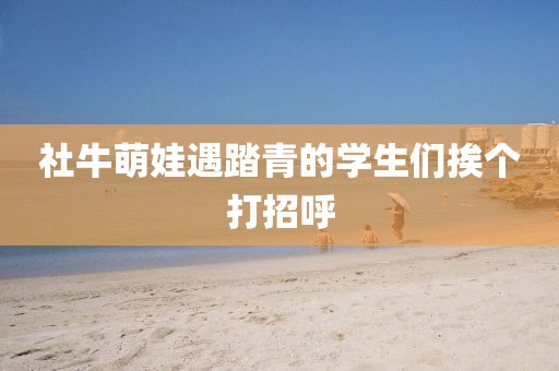 社牛萌娃遇踏青的学生们挨个打招呼