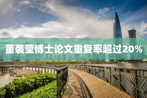 董袭莹博士论文重复率超过20%