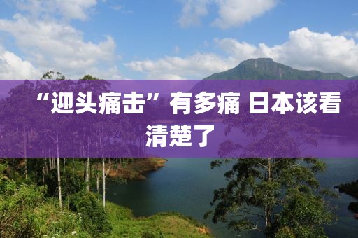 “迎头痛击”有多痛 日本该看清楚了