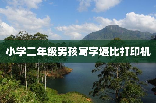 小学二年级男孩写字堪比打印机