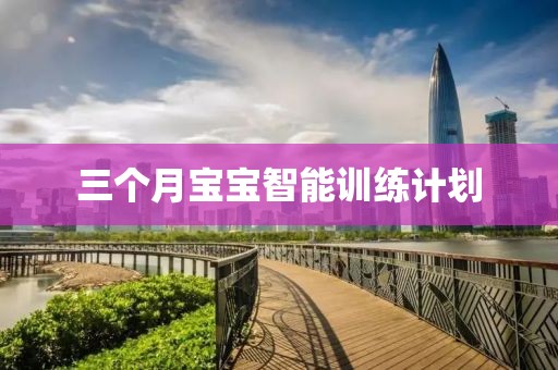 三个月宝宝智能训练计划