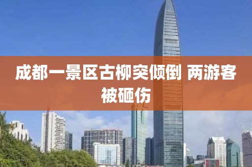 成都一景区古柳突倾倒 两游客被砸伤