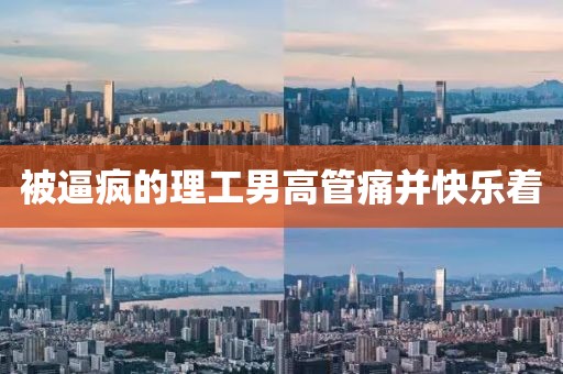 被逼疯的理工男高管痛并快乐着