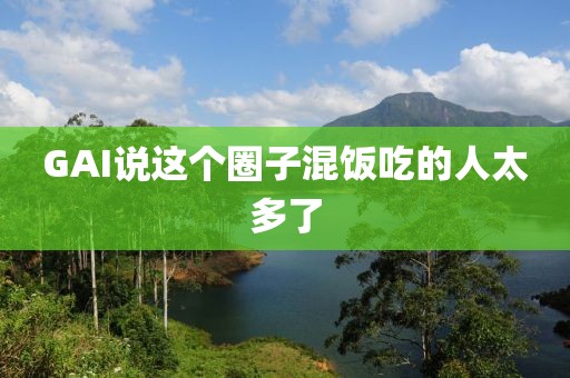 GAI说这个圈子混饭吃的人太多了
