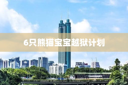 6只熊猫宝宝越狱计划