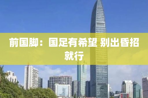 前国脚：国足有希望 别出昏招就行