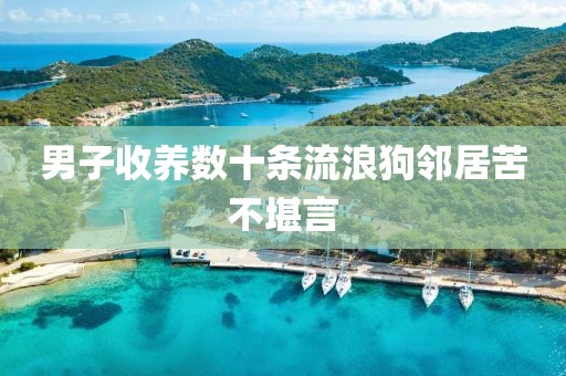 男子收养数十条流浪狗邻居苦不堪言