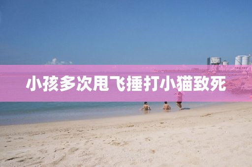 小孩多次甩飞捶打小猫致死