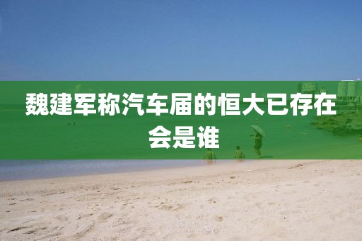 魏建军称汽车届的恒大已存在 会是谁