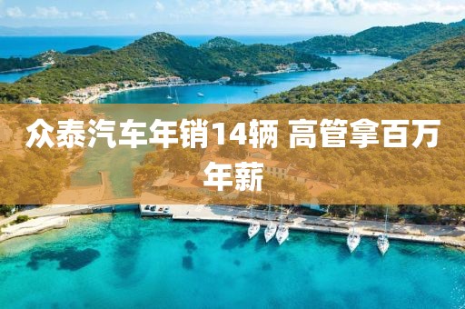 众泰汽车年销14辆 高管拿百万年薪