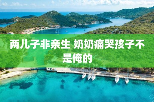 两儿子非亲生 奶奶痛哭孩子不是俺的