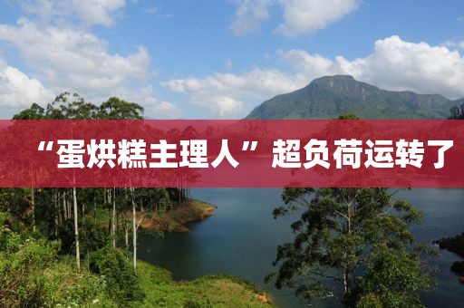 “蛋烘糕主理人”超负荷运转了