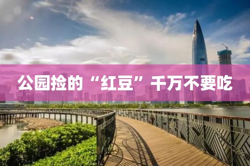 公园捡的“红豆”千万不要吃