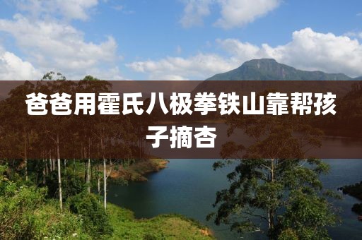 爸爸用霍氏八极拳铁山靠帮孩子摘杏