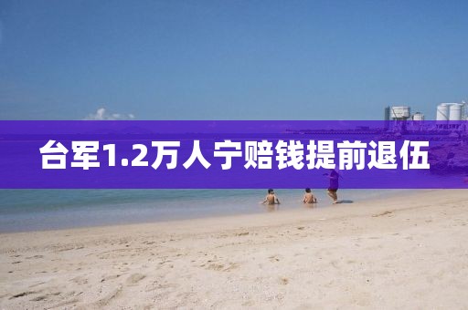 台军1.2万人宁赔钱提前退伍