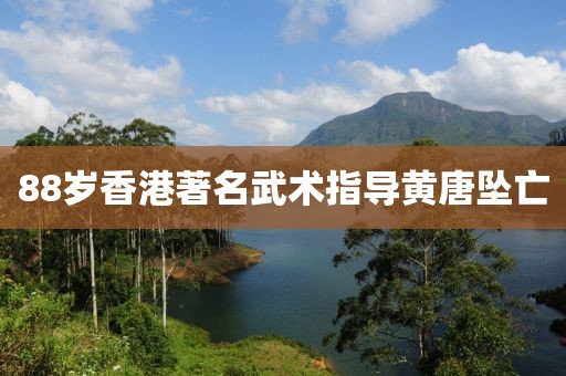 88岁香港著名武术指导黄唐坠亡