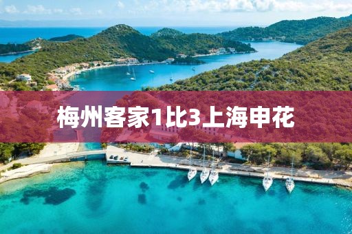 梅州客家1比3上海申花