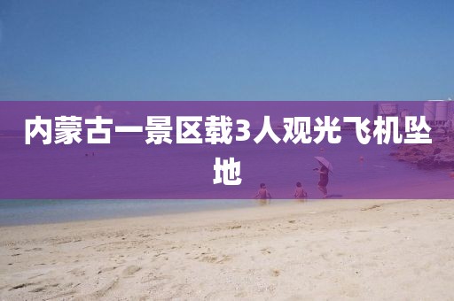内蒙古一景区载3人观光飞机坠地