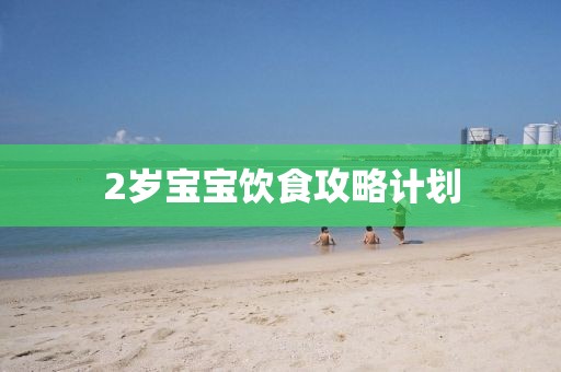 2岁宝宝饮食攻略计划