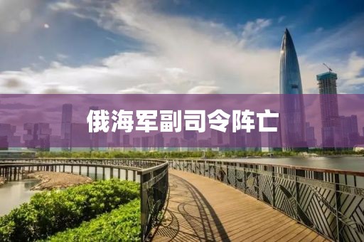 俄海军副司令阵亡