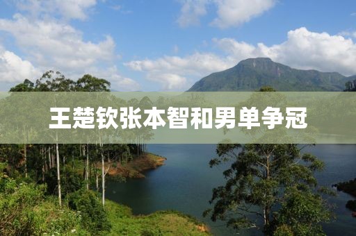 王楚钦张本智和男单争冠