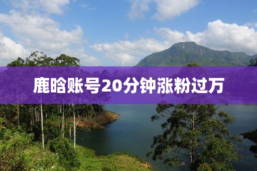鹿晗账号20分钟涨粉过万