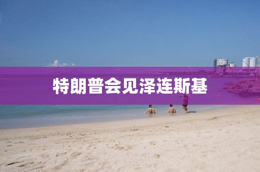 特朗普会见泽连斯基