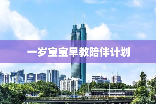 一岁宝宝早教陪伴计划
