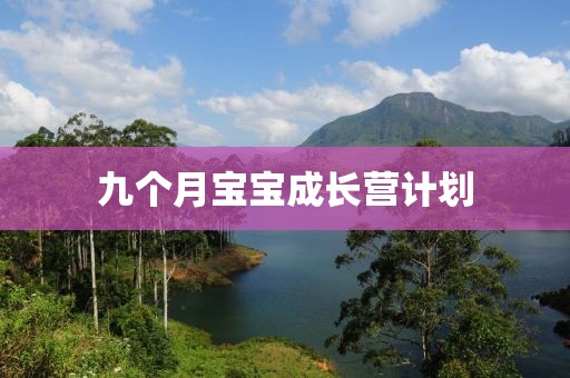 九个月宝宝成长营计划