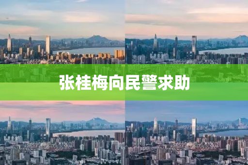 张桂梅向民警求助