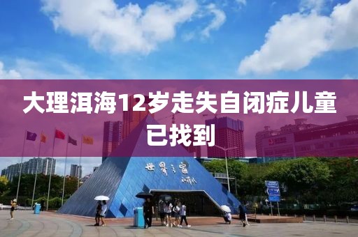 大理洱海12岁走失自闭症儿童已找到