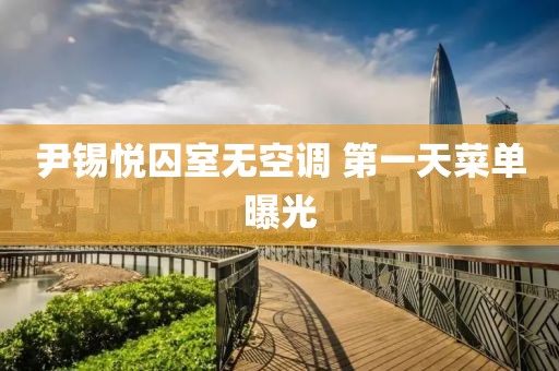 尹锡悦囚室无空调 第一天菜单曝光