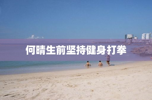 何晴生前坚持健身打拳