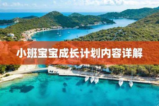 小班宝宝成长计划内容详解