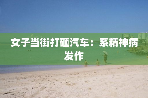女子当街打砸汽车：系精神病发作