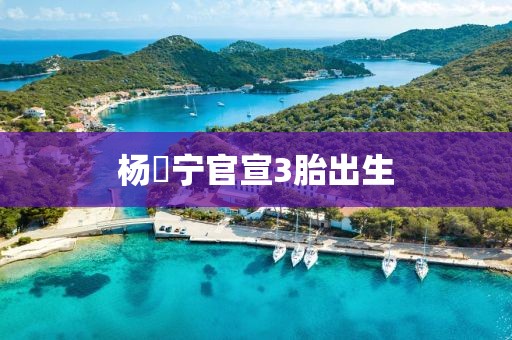 杨祐宁官宣3胎出生