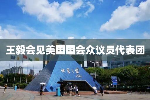 王毅会见美国国会众议员代表团