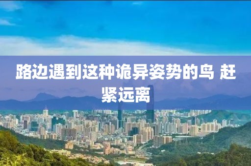 路边遇到这种诡异姿势的鸟 赶紧远离