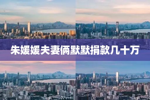 朱媛媛夫妻俩默默捐款几十万