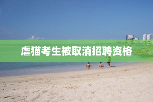 虐猫考生被取消招聘资格