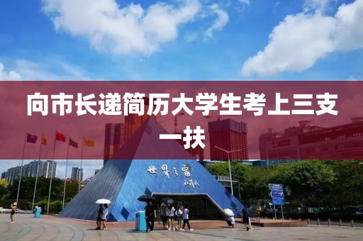 向市长递简历大学生考上三支一扶