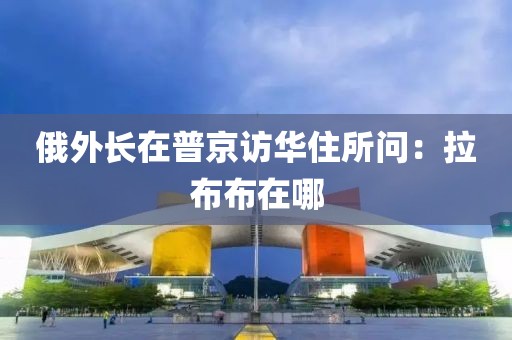 俄外长在普京访华住所问：拉布布在哪
