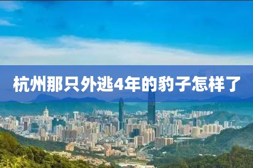 杭州那只外逃4年的豹子怎样了