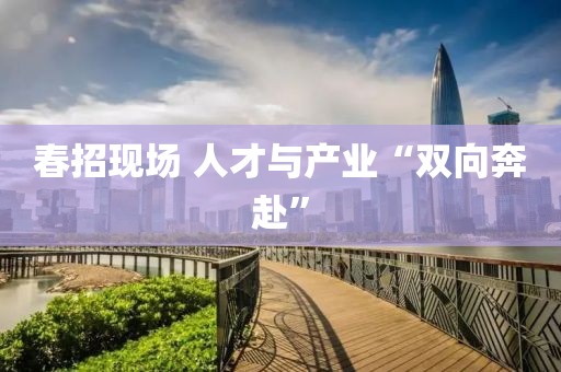 春招现场 人才与产业“双向奔赴”