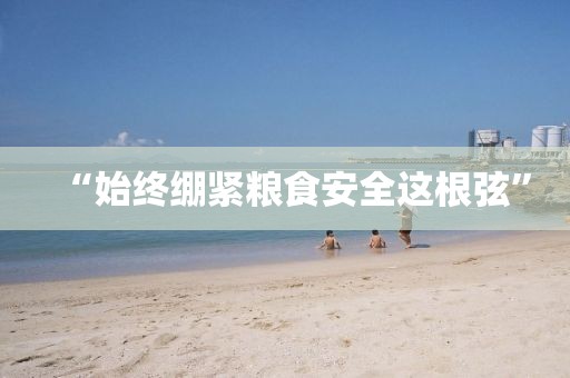 “始终绷紧粮食安全这根弦”