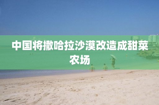 中国将撒哈拉沙漠改造成甜菜农场