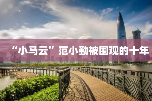 “小马云”范小勤被围观的十年