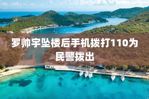 罗帅宇坠楼后手机拨打110为民警拨出
